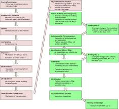 Regulatory Approval And A First In Human Phase I Clinical