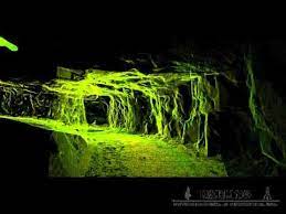 3d Laser Scanning Underground Mine Mapping Oak Island 3d Scanning Underground