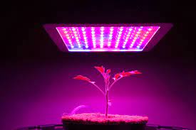 Maybe you would like to learn more about one of these? Top 10 Best Led Grow Light Review Of 2021 Homescopes