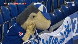 Only 22 years old but the captain of s04 already i'm soo proud of him. Football On Bt Sport On Twitter Spare A Thought For The Schalke Mascot