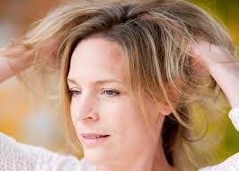 Eva Meier's Instagram, Twitter & Facebook