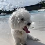 WaterBARK Day
