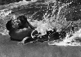 Берт ланкастер, монтгомери клифт, дебора керр и др. From Here To Eternity 1953 Fred Zinnemann Twenty Four Frames