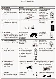 Pin On Worksheets