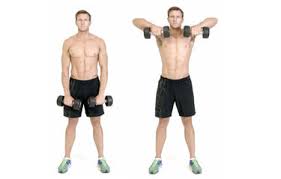 Find related exercises and variations along with expert tips. Dumbbell Upright Row Exercise Video Video Isn T Working Thanks For Reporting We Ll Get It Fixed Soon Biceps Shoulders Requires Dumbbell How To Do Stand Up Straight With A Dumbbell In Each Hand In A Overhand Grip Palm Facing Your Body Hold The