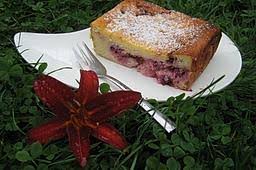 In 1/3 des teiges kakao und kaffee einrühren. Jostabeere Rezepte Chefkoch