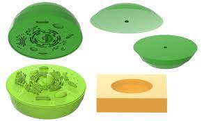 Animal cell model puzzle, set of 24. Discover The Animal Cell E3d Vet