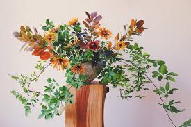 Dining in walnut creek, california: Florali Walnut Creek