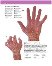 Check spelling or type a new query. A Palm Of Left Hand