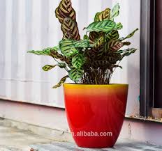 Our plastic flower pots are waterproof and durable plus we offer nationwide delivery, including sydney, melbourne, canberra, brisbane and regional areas. New Flow Painting Plastic Flower Pots Wholesale Flow Paint Gardening Pots Artificial Flowers Buy Artificial Flowers Gardening Pots Plastic Flower Pots Product On Alibaba Com