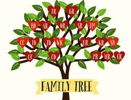 Zunächst musst du ein paar daten deiner. Kostenloser Stammbaum Ersteller Erstellen Sie Ihren Familienstammbaum Online I Adobe Spark