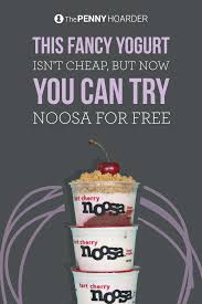 This Fancy Yogurt Isn T Cheap But Now You Can Try Noosa For Free Noosa Yogurt Yogurt Canning