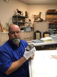 Bishop Museum Of Science And Nature Jobs This Week On Wow Wednesday We Meet Matt Woodside Director Of Exhibitions So Matt Tell Us Why This Piece Of Rock Science And Nature Medical History Science