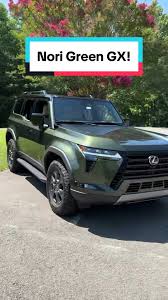 Image result for Nori Green 2022 LC