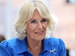 Queen Camilla's project unveils incredible 6ft structure in London to  promote new project