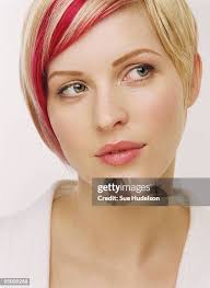 353 Terry Sue Stock Photos, High-Res Pictures, and Images