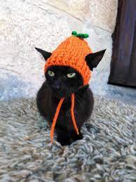 Pumpkin Hat For Cat Pumpkin Pet Costume Halloween Costume Etsy Hat For Cat Pet Costumes Cat Halloween Costume
