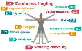 Multiple Sclerosis Multiple Sklerose Sklerose Heilen