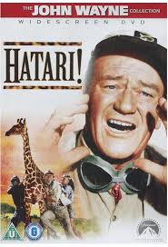 Hatari!