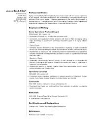 Business Analyst Resume Sample James Bond