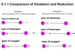 Oxidation Vs Reduction High School Chemistry Chemistry Activities Chemistry Class