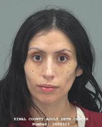 Pinal County Sheriff's log, 06/23/23