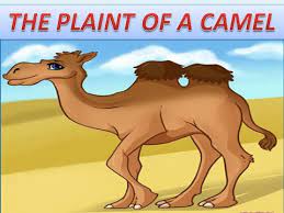 The name o f this system can be shortened or abbreviated to si, from the french nam e systeme international d 'unites. The Plaint Of The Camel By Charles Edward Carryl Youtube