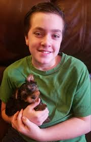 2020 Ohio 4-H Project Showcase