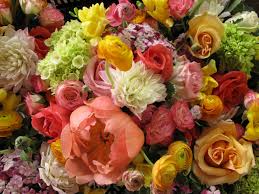 We did not find results for: The Truth About Expensive Wedding Flowers Floral Artistry