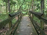 Apalachee Audubon: Birds and Brews June 2026 Ology...