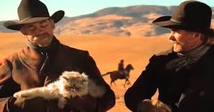 Cat and robbie kiss at the cowboy luau full cabbie scene victorious. Cowboys Tell Us How Hard It Actually Is To Herd Cats