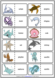 Sea Animals Esl Vocabulary Worksheets