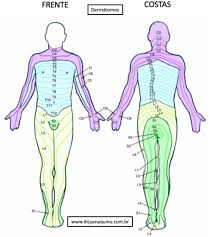 Artrodese Lombar: O Que é? Quando Fazer e NÃO Fazer? 2ª e 3ª Opinião Médica  - Dr. Juan Aquino