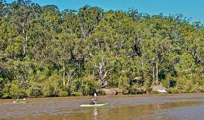 Jul 26, 2021 · for sale: Georges River National Park Learn More Nsw National Parks
