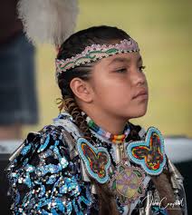 Experience Michigan pow wow events