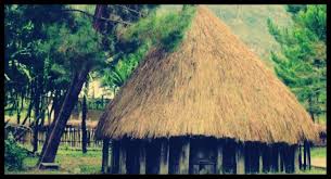 Ciri khas rumah adat papua ini dapat dilihat dengan adanya jendela serta adanya satu buah pintu. Rumah Adat Papua Nama Ciri Khas Gambar Dan Penjelasan