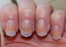 Based upon the nail salon, you can anticipate nexgen nails price from $40 to $50. Nexgen Nails Vs Gel New Expression Nails