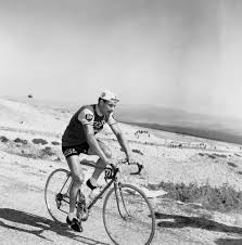 Poulidor turned professional in 1960 with the team sponsored by the mercier cycle company; Raymond Poulidor Aufstieg Zum Mont Ventoux Bild Kaufen Verkaufen