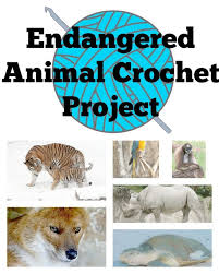 Endangered Animal Crochet Project Crochet Projects Endangered Animals Crochet Animal Patterns