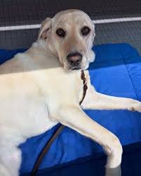 Taylor Michelle Winnett PLY