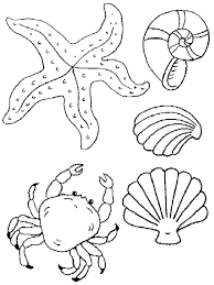 Muschel ausmalbilder malvorlagen 99 frisch seestern zum ausmalen stock kinder bilder. Kostenlose Ausmalbilder Unterwasserwelt Meerestiere Fur Kinder