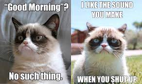21 Grumpy Cat Memes To Instantly Make You Grumpy However Happy You Are India Com