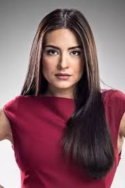 Trakt Web: Laws of love