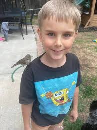 Another successful Bake. Love Sourdough bread.