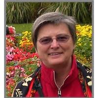 40+ "Suderman" profiles