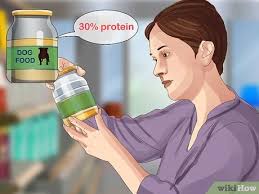 They are one of the famous companion dog breeds. How To Feed An American Bully Puppy 7 Steps With Pictures