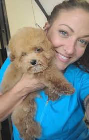 I have known Brooke for years and worked along side her at Noah's for a few  and she is an AMAZING groomer! If your in Sapulpa, Kiefer, Glenpool area  give her a