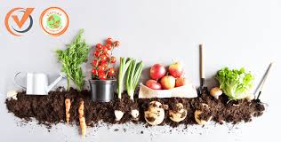 Chứng nhận VietGAP trồng trọt - ISOQ Việt Nam