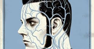 Justin Erickson's Instagram, Twitter & Facebook