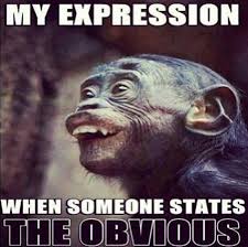 Feb 09, 2021 · these hilarious talladega nights quotes will make you feel like a winner. Monkey Sunday Quotes Weekend Weekends Weekendvibes Humor Hilarious Funny Dogtrainingobedienceschool Com